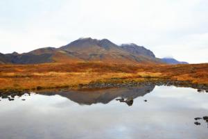 307928_3768010204329_1166725753_n