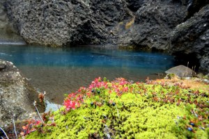 375900_3768031324857_1000334115_n